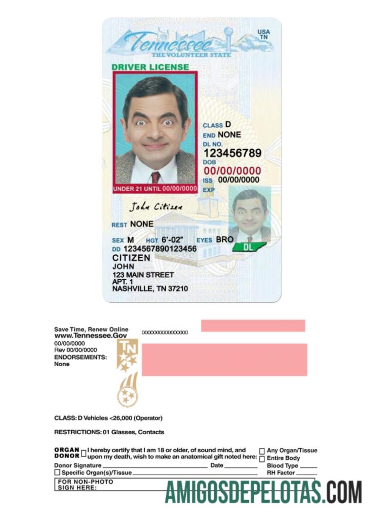 Carta de condução do Tennessee nos EUA com menos de 21 anos exemplo